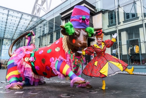 Panto Dame Joins Birmingham Bull In His Glad Rags 