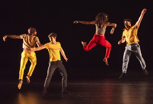 The Dance Center of Columbia College Chicago Has Announced First Driehaus Commissioned Artist Image