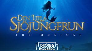 AUDITION FOR THE LITTLE MERMAID at Ericsson Globe Image
