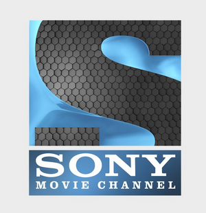 Sony Movie Channel Will Showcase Rarely-Shown Horror Films Image