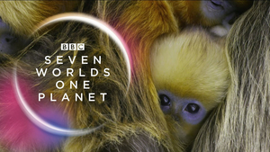 BBC America's SEVEN WORLDS, ONE PLANET to Now Premiere With Australia Episode  Image