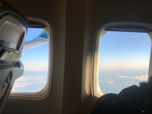 BWW Blog: Coming Home for the Holidays Image