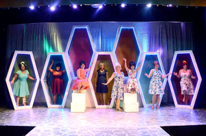 Review: The Music of the 60's is Alive and Well at Desert Theatreworks With BEEHIVE: THE 60'S MUSICAL Image