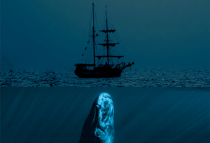 MOBY DICK is Coming to Adelaide Fringe 