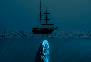 MOBY DICK is Coming to Adelaide Fringe Image