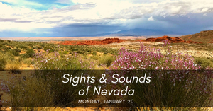 2020 Las Vegas Natural History Museum and Las Vegas Philharmonic Music Van Kick-Off New Collaboration Image