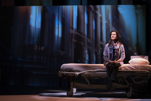 Review Roundup: MY NAME IS LUCY BARTON Starring Laura Linney Opens On Broadway Image