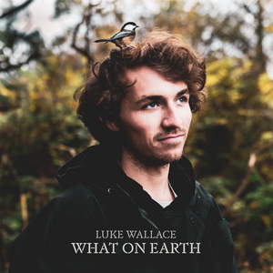 Luke Wallace Announces New Album 'What on Earth' 