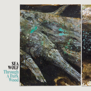 Sea Wolf Announces First New Album In Six Years  Image