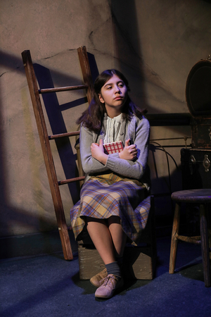 Review: THE DIARY OF ANNE FRANK at Des Moines Playhouse: Letting the Legacy of a Girl's Diary Live on. 