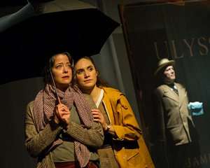 Review: BLOOMSDAY at Washington Stage Guild Image