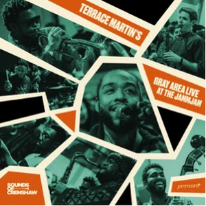 Terrace Martin Debuts New Album 'Gray Area Live at the JammJam' Image