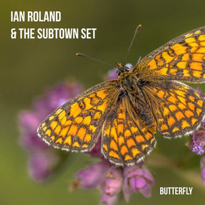 Ian Rowland and the Subtown Set Drop New Single 'Butterfly' Image