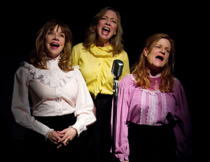 BWW Review: Del Shores THIS SIDE OF CRAZY Women Prove to be the Salt of the Earth with Lots of Hot Pepper Underneath 