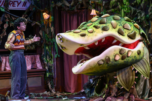 Review: LITTLE SHOP OF HORRORS at Pittsburgh Public Theatre Doesn't Reinvent, But Doesn't Have To Image
