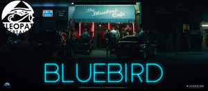 CMT to Exclusively Premiere BLUEBIRD on February 19 Image