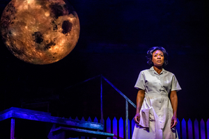 Review: CAROLINE, OR CHANGE at the Winter Garden Theatre 