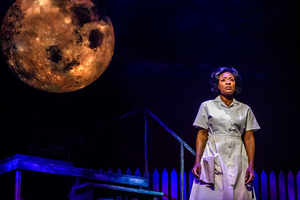 Review: CAROLINE, OR CHANGE at the Winter Garden Theatre Image