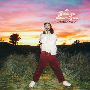 The Undercover Dream Lovers Release Official Video For 'Chardonnay' Image