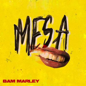 Bam Marley Releases Debut Project M.E.S.A. PART 1  Image