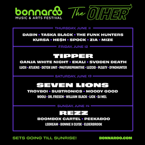 Bonnaroo Unveils Lineup for 'The Other' Stage 