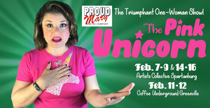 Interview: Anne Tromsness, Director of THE PINK UNICORN at Proud Mary Theatre Company 