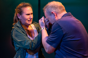 Review: A PEREGRINE FALLS at The Wild Project Image