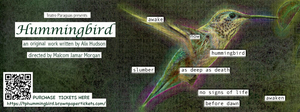 Review: HUMMINGBIRD at Teatro Paraguas Image