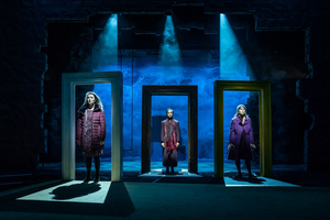 Review: NORA: A DOLL'S HOUSE, Young Vic Image