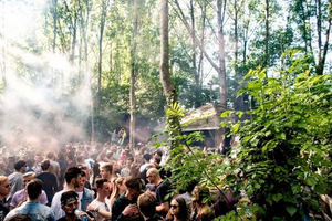 Forest Festival Planet Paradigm Announces Full Line-Up For 2020 Image