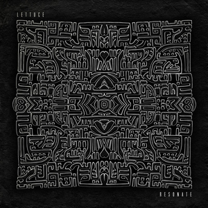 Lettuce Announces New Studio Album RESONATE Image