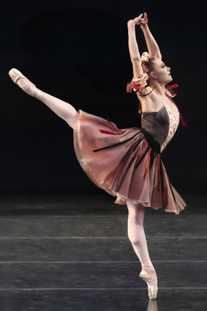UofSC Dance to Host Top Talents of the NYC Ballet for 15th Annual Ballet Stars of New York 