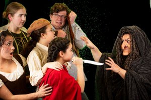 Metropolitan Performing Arts Presents INTO THE WOODS Image