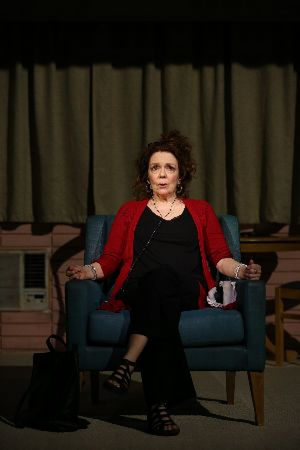 Vineyard Theatre's DANA H. Extends Until April 11 Image
