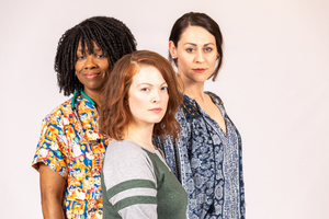 MARY JANE Will Run at Meadow Brook Theatre in March Image