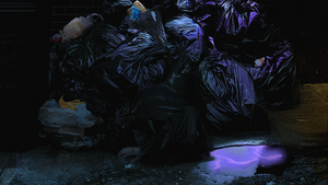 Cast Announced For BIN JUICE at VAULT Festival Image