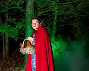 Review: INTO THE WOODS at Red Curtain Theatre Get Their Wishes 