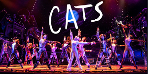 Review: CATS at Shubert Theatre 