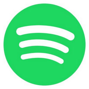 See Who Won at THE SPOTIFY AWARDS Image