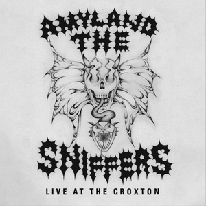 Amyl and The Sniffers Announce 'Live At The Croxton' 7-Inch Image
