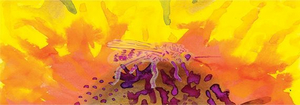 Interact Will Temporarily Close Beginning Wednesday March 18 Image