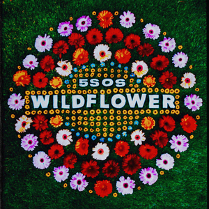 5 Seconds Of Summer Release New Single 'Wildflower' Image