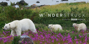 BBC AMERICA Expands Nature Micro-Net 'Wonderstruck' to Two Days Image