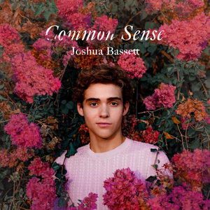 HIGH SCHOOL MUSICAL: THE MUSICAL: THE SERIES Star Joshua Bassett Releases Debut Song 'Common Sense' 