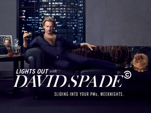 LIGHTS OUT WITH DAVID SPADE Will Not Return to Comedy Central; Looks For New Home Image