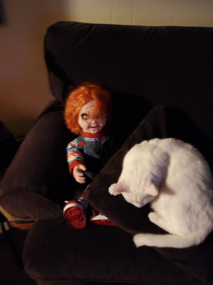 BWW Backstage Pets: EVAN HARRIS and Champ Image