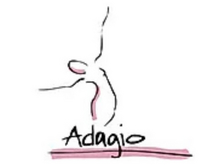 Adagio Dance Studio in Exeter Teaches Virtual Classes Amidst Shutdown 