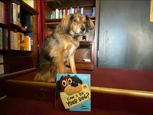 Bravo the Theatre Dog Does Story Time to Support Bideawee Rescue Image