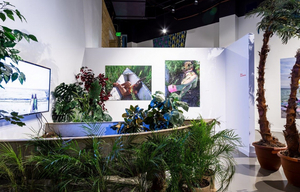 August Wilson African American Cultural Center Launches Virtual Gallery Tours Image