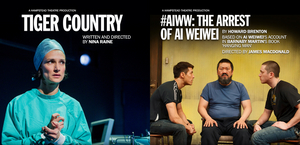 Hampstead Theatre Extends Free Digital Streaming Series With TIGER COUNTRY and More Image